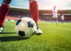 库里的支持,杜兰特在太,阳绽放的关,大众彩票,彩票平台,快速开奖,安全购彩,彩票服务